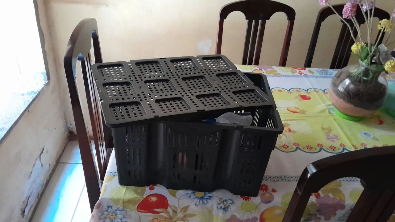 Caixas plásticas multipla-organização. - Foto 5