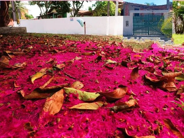 Casa de praia para temporada. - Foto 5