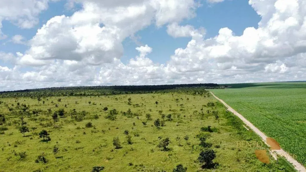 Fazenda com potencial para lavoura e gado.