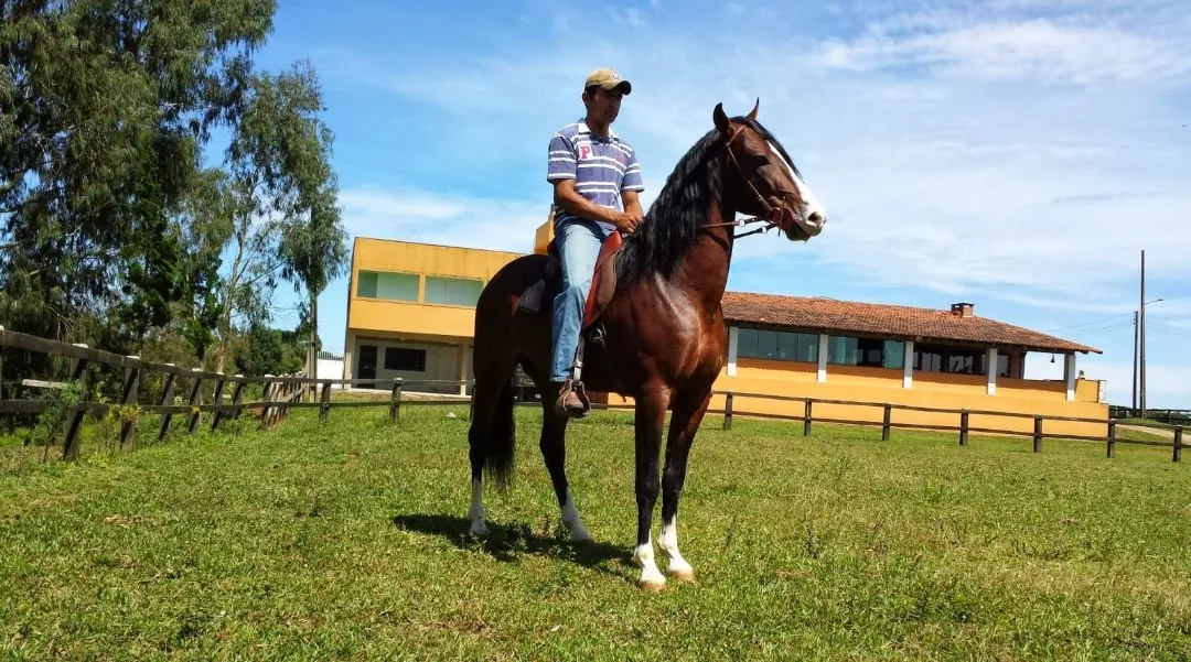 Magnífico Haras em Curitiba