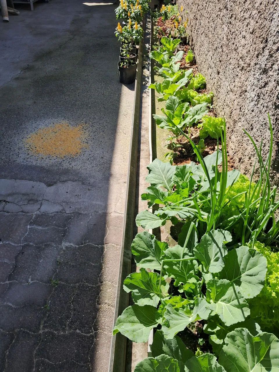 Calha 64419089877251123