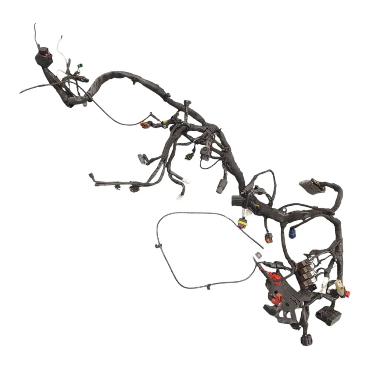 Chicote Principal Triumph Scrambler 400x 2023/2024 - Peças para