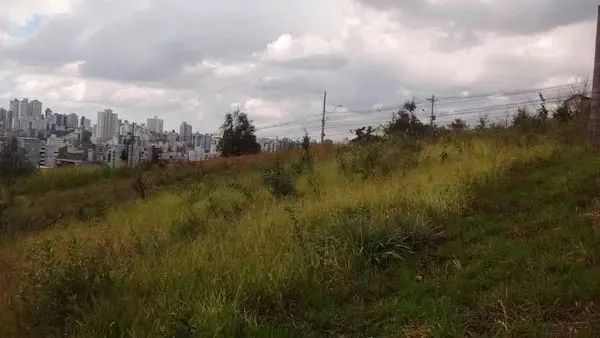 Venda Commercial / Land Lot Belo Horizonte MG - Foto 2