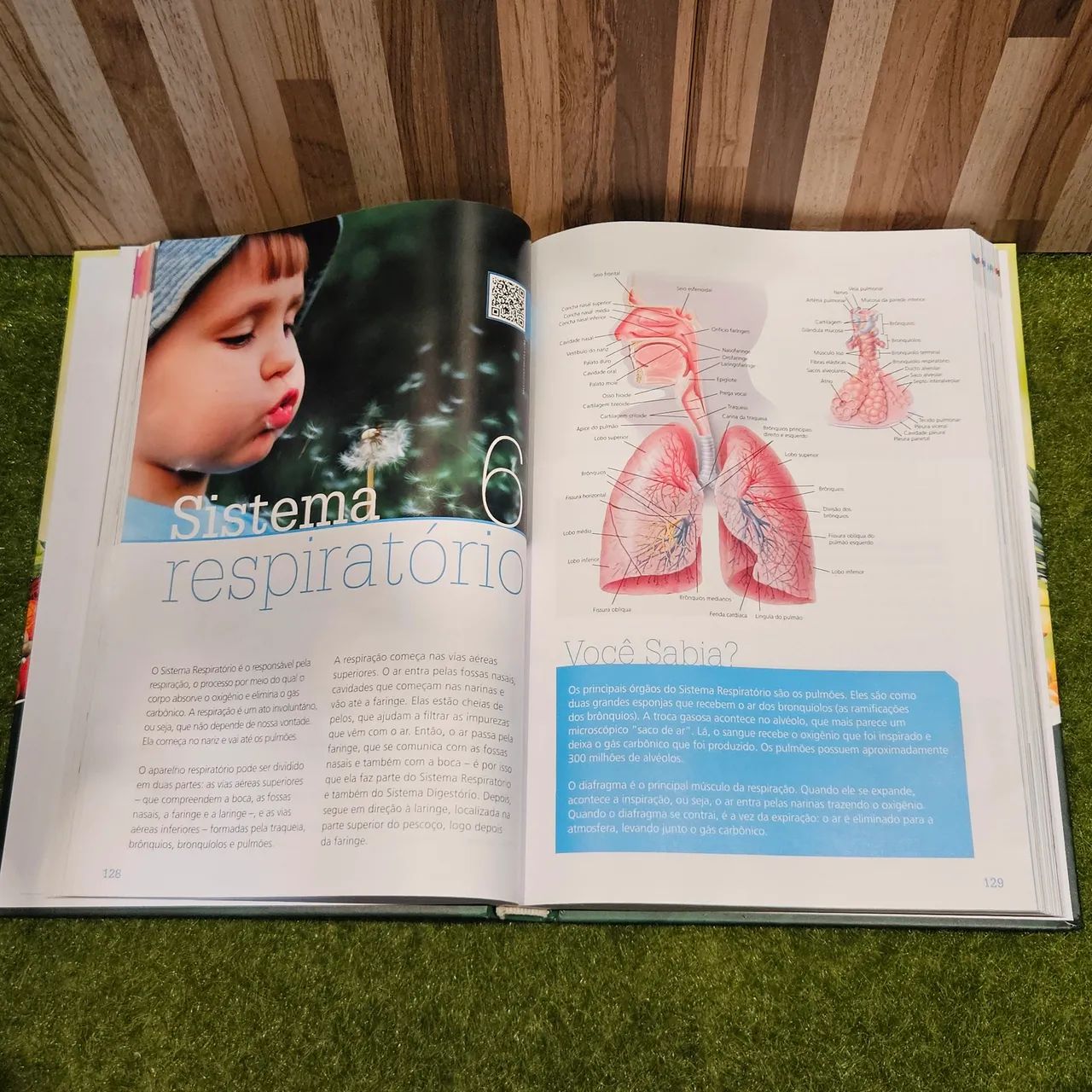 Medicina Natural - Vida e Saúde - Foto 4