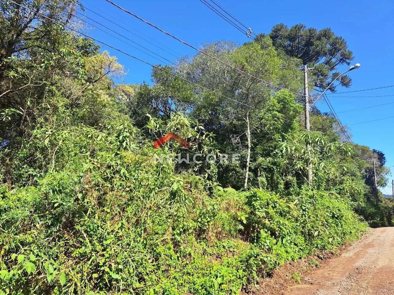 Lote em Rua São Gotardo - São Bernardo - São Francisco de Paula/RS