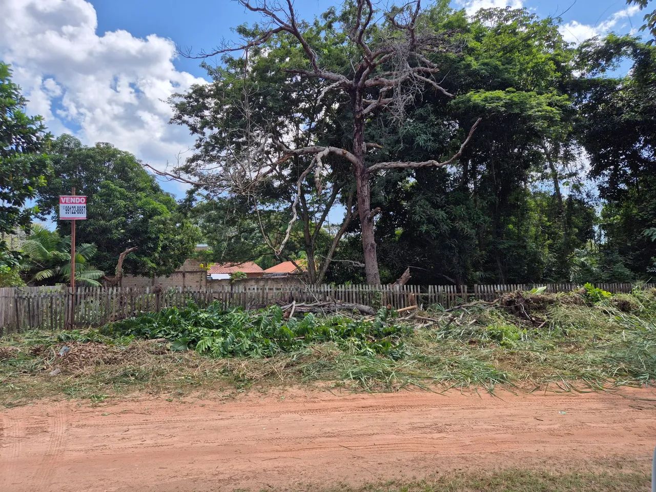 Foto - Santarém - Alter do Chão
