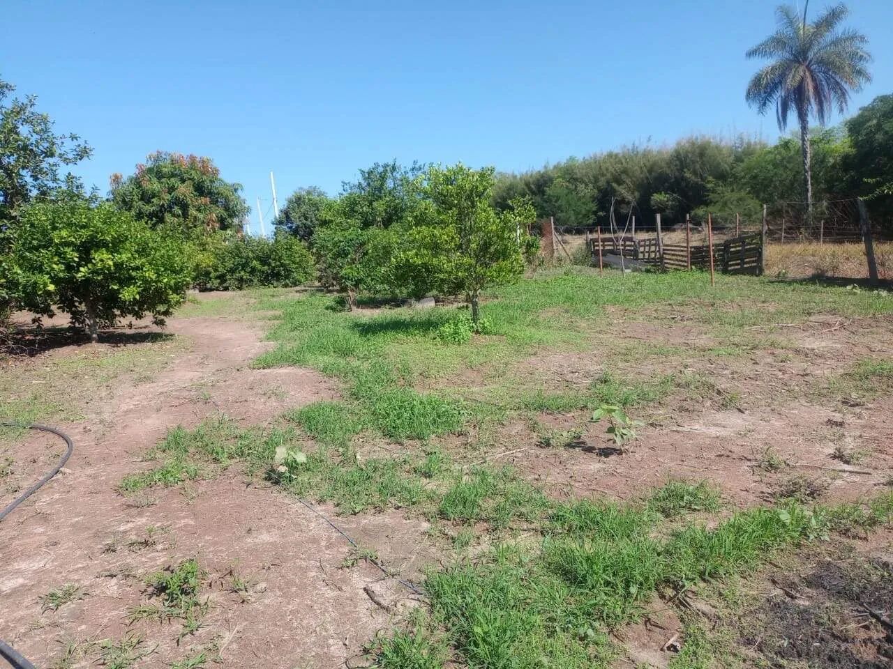 Sítio à venda, 3 quartos, Bairro dos Pires - Limeira/SP - Foto 5