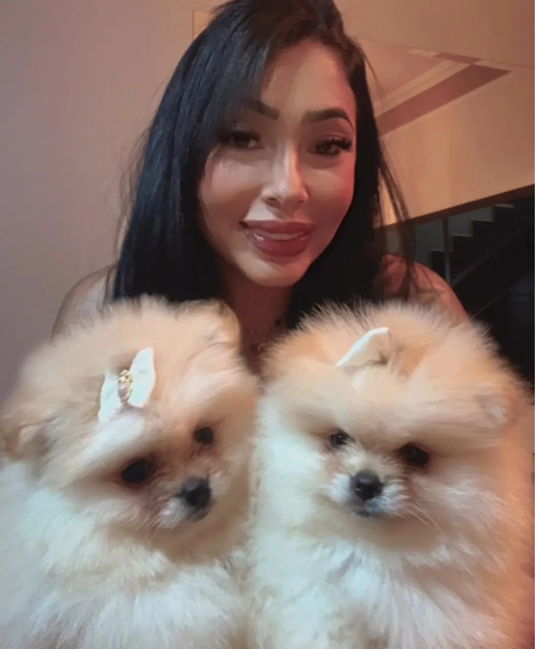Lulu da pomerania ursinho - Foto 4