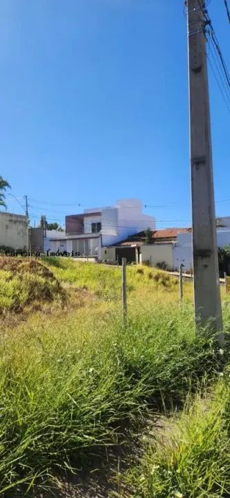 Terreno para Venda em Uberlândia, Vigilato Pereira - Foto 3