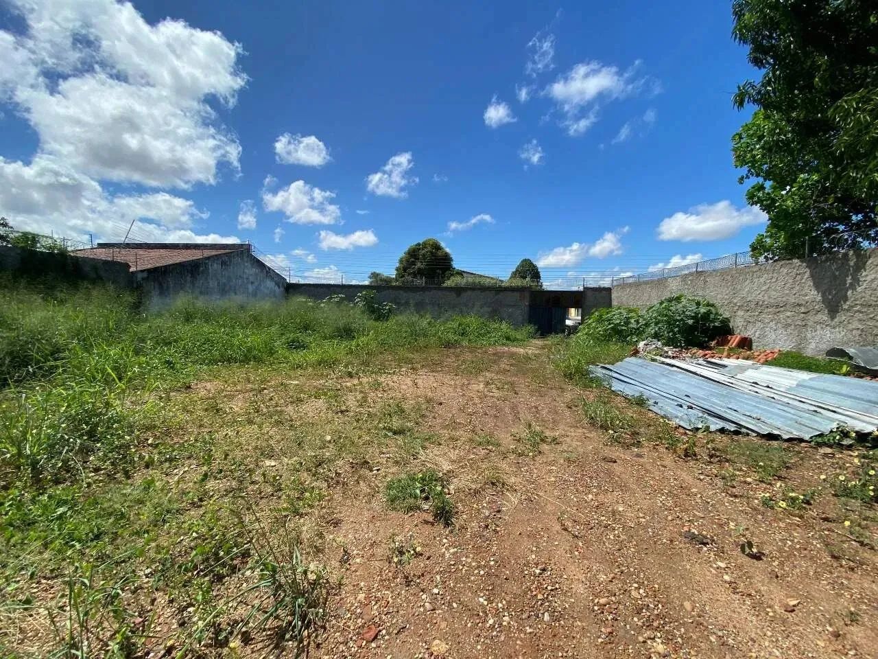 Terreno - Aluguel - Foto 5