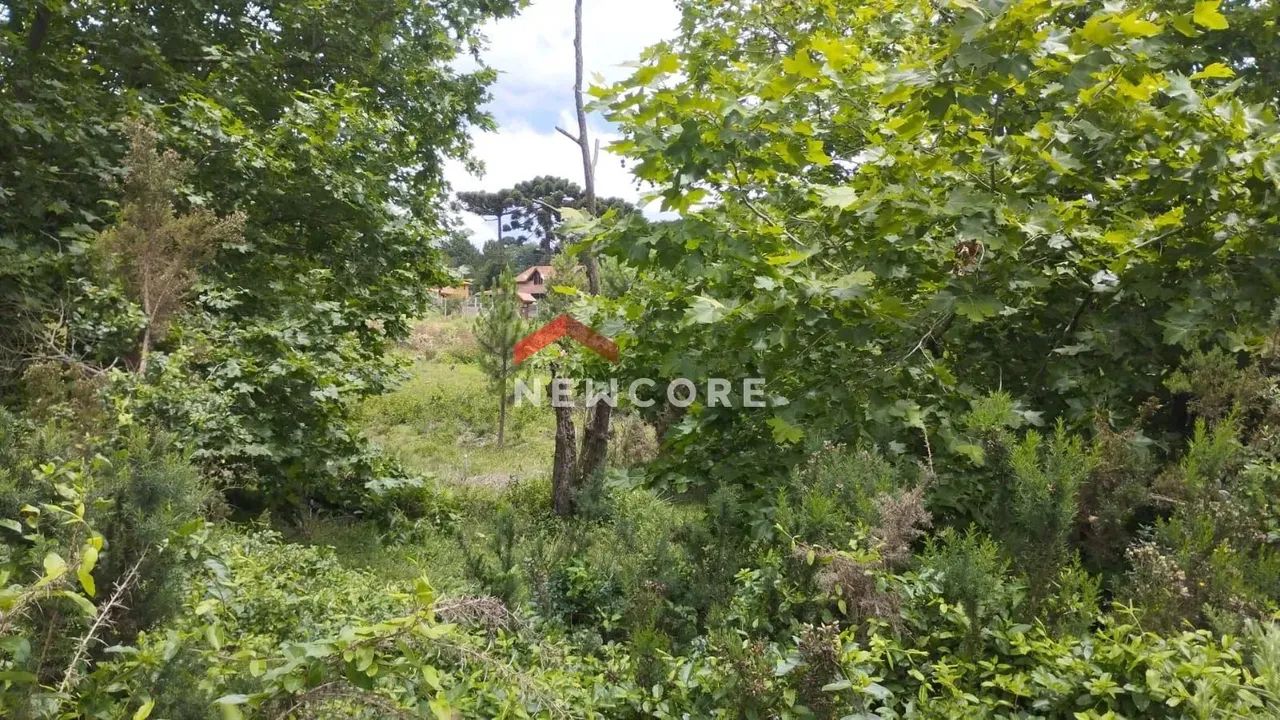 Lote em Rua Boca Da Serra - Remanso Indianópolis - São Francisco de Paula/RS - Foto 2