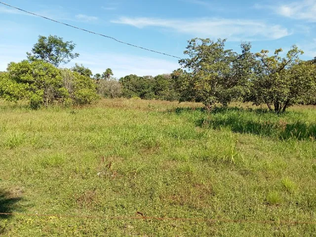 Fazenda à venda em Lagoa do Tocantins - TO | 96,13 hectares