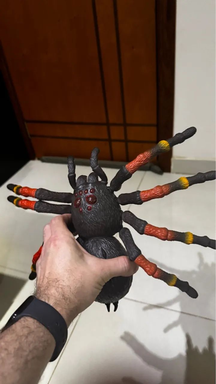 Aranha Gigante - Foto 2