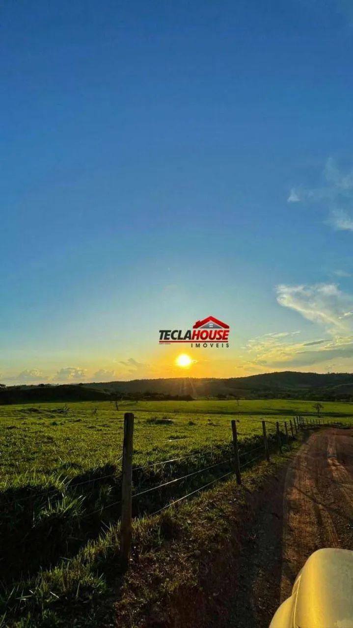 Fazenda com 6 dormitórios à venda, 2390000 m² por R$ 12.000.000,00 - Zona Rural - São João - Foto 3