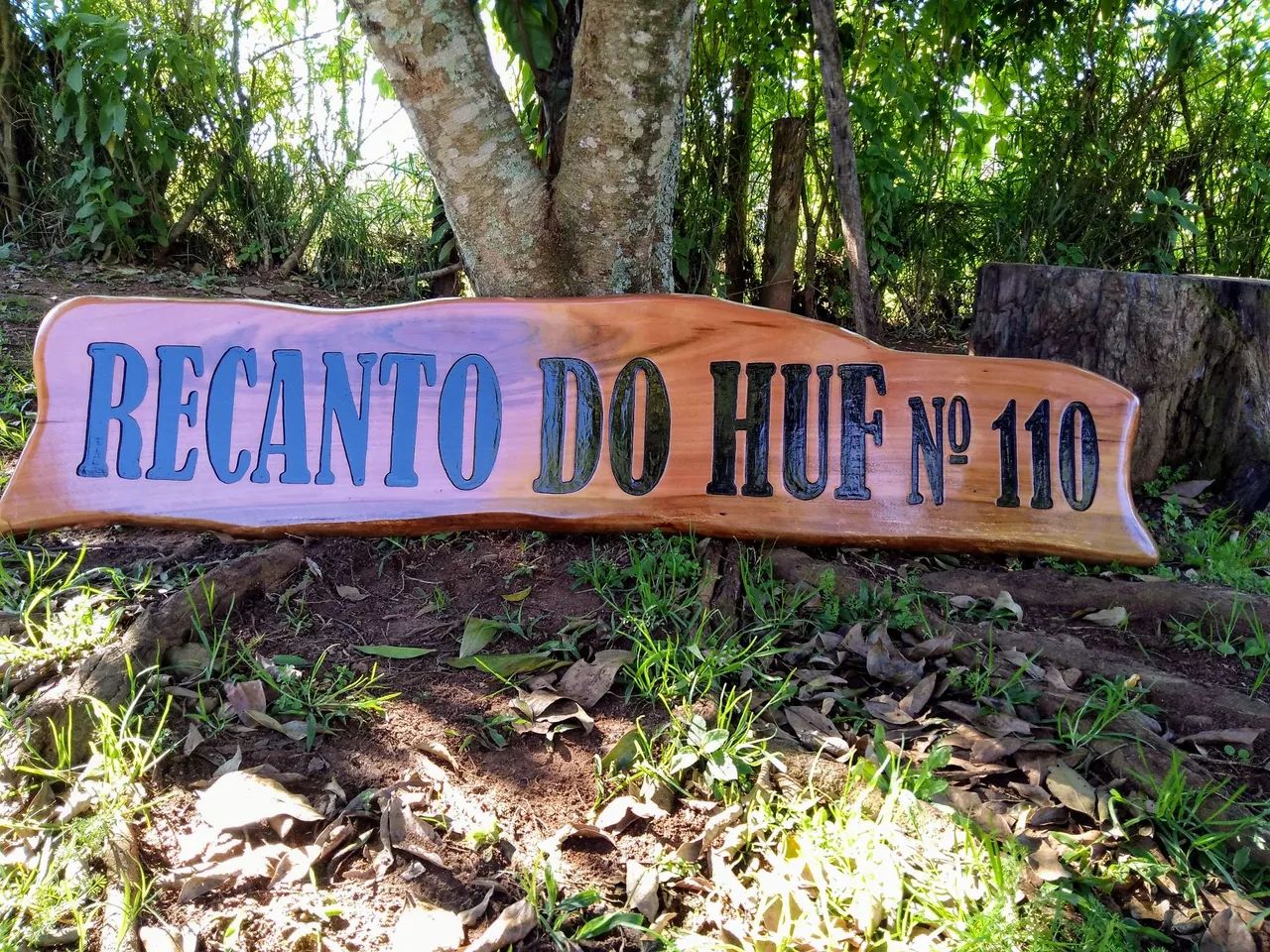 Placas personalizadas!!!64288877998979124