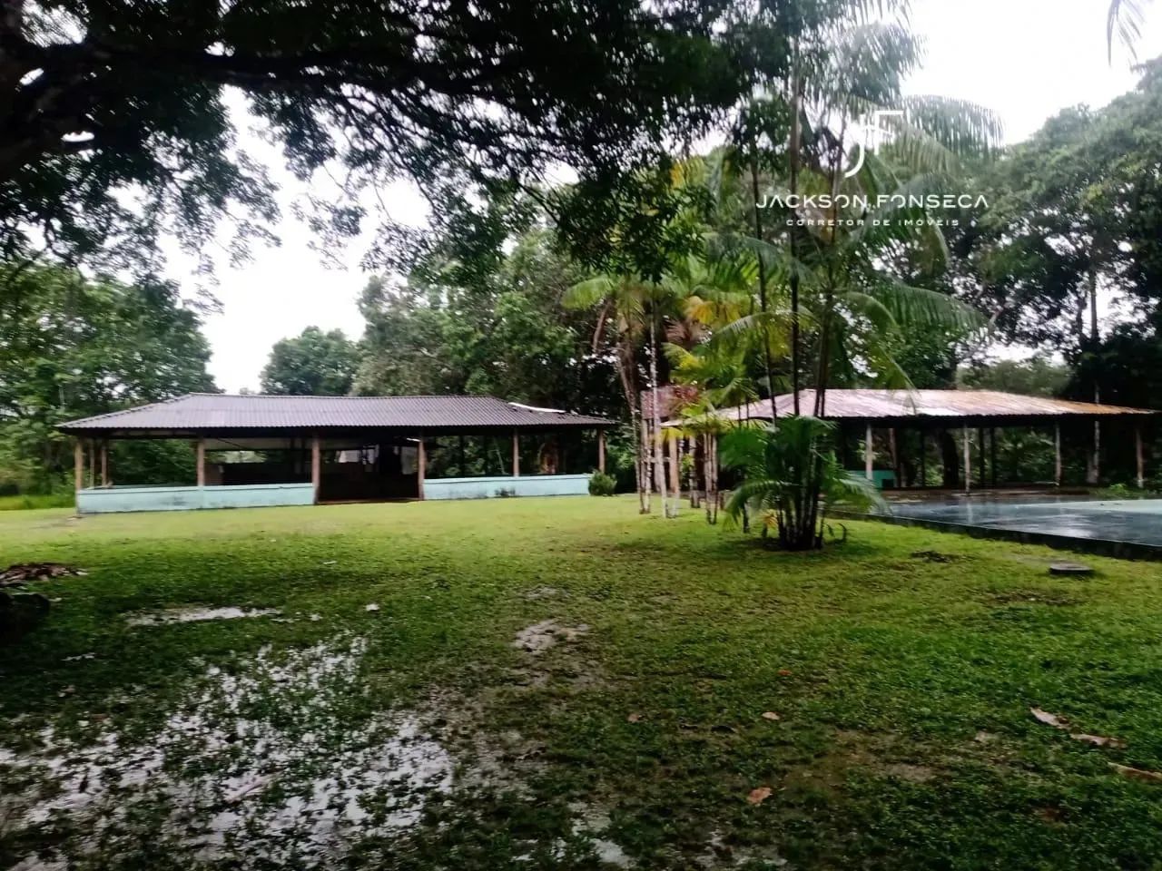 VENDE-SE SÍTIO NA BR-174 KM 17  ÓTIMA LOCALIZAÇÃO - Foto 4