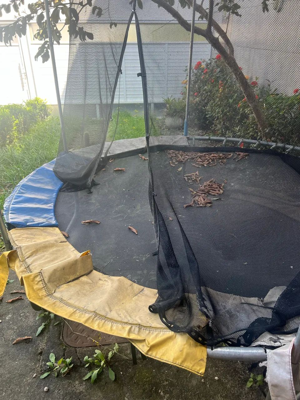 Cama elástica  - Foto 3