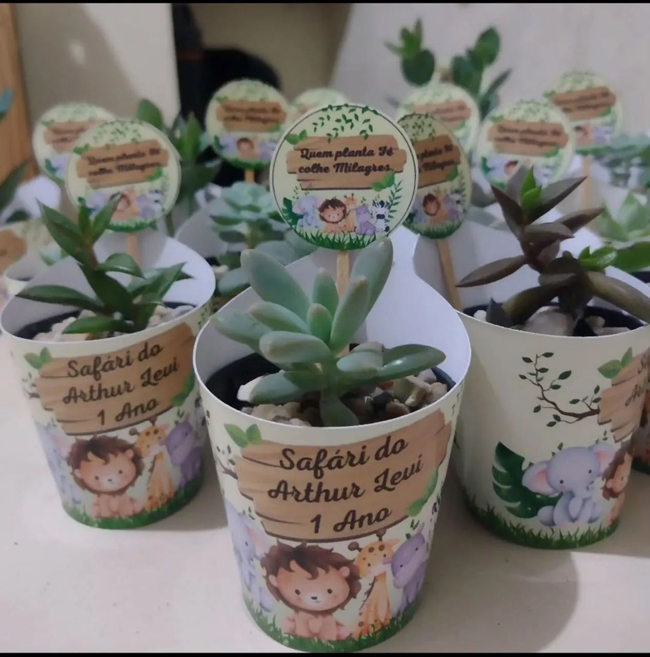 Cactos e suculentas personalizadas - Foto 5