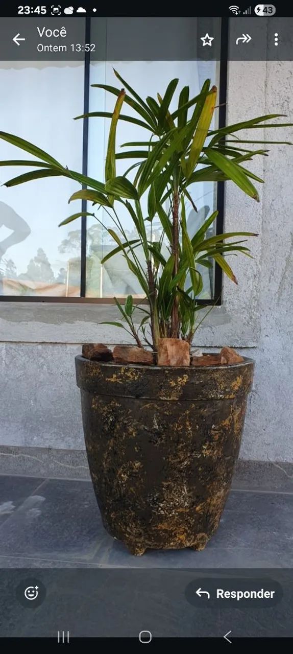 Vaso modelo romano de cimento.  Acabamento Resina acrilica Brilho acetinado * 