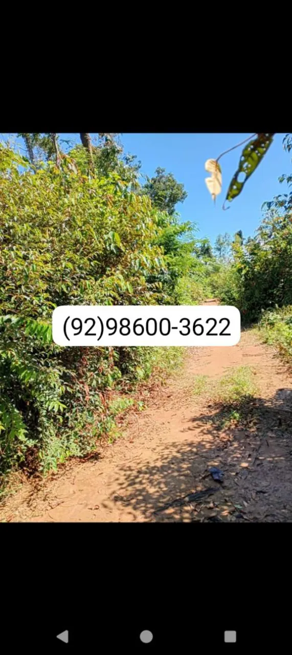 Terreno ótimo pra investir em loteamento