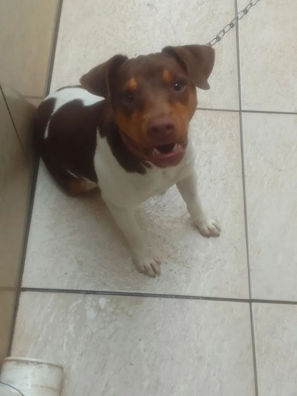 vende se for Paulista  - Foto 3