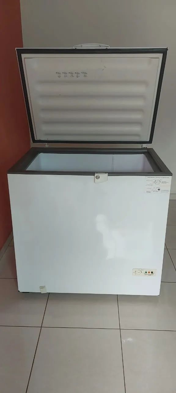 FREEZER CONSUL 307 LITROS - Foto 2