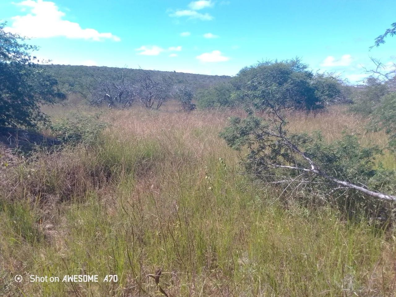 Fazenda em Morro de Chapéu  - Foto 3