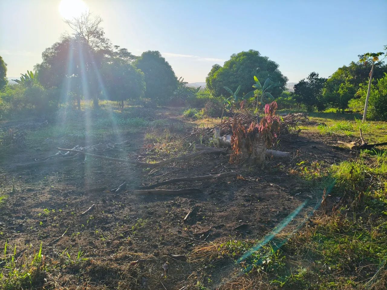 Vende-se 1 linha de chácara  - Foto 4