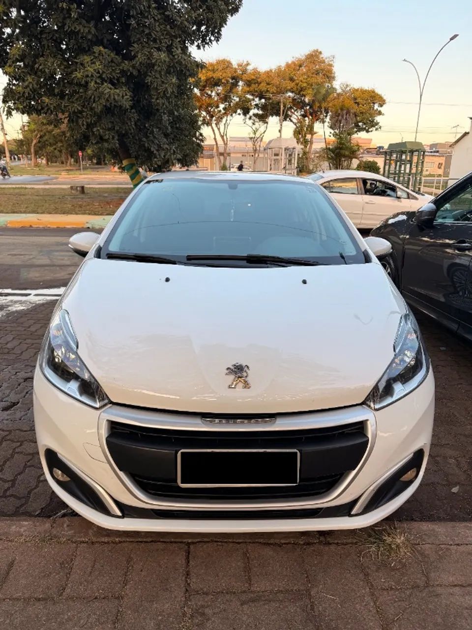 Peugeot 208 208 Active Pack 1.6 Flex 16V 5p Aut. 2019