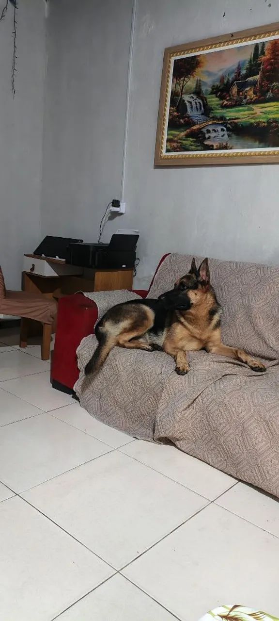 Cobertura 