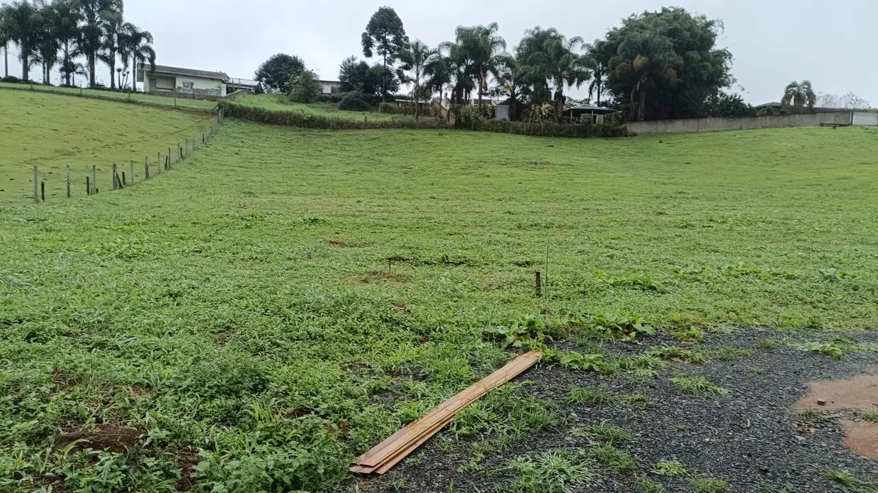 Foto - São Bento do Sul - Mato Preto