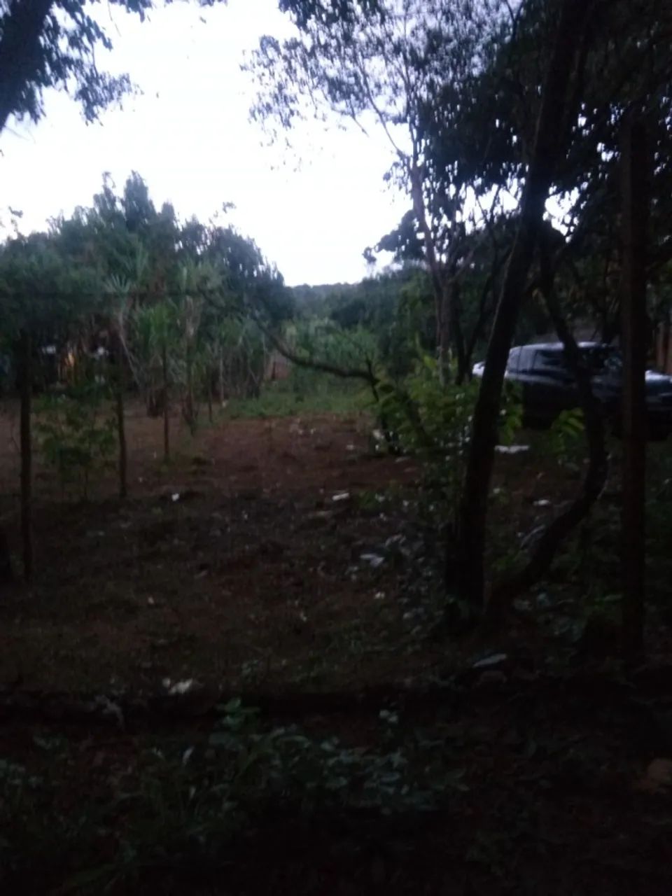 Chácara 1.700 m² - (Setor Sul - GAMA-DF) - Foto 5