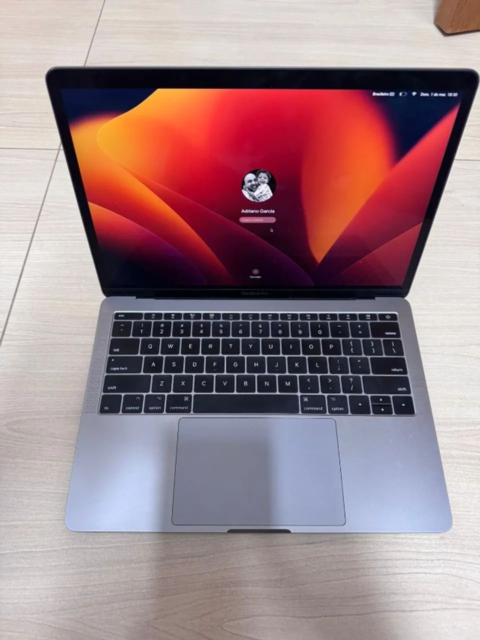 Macbook Pro 2017, 13.3, 8gb, Ssd-256gb A1708 2017 - Notebooks