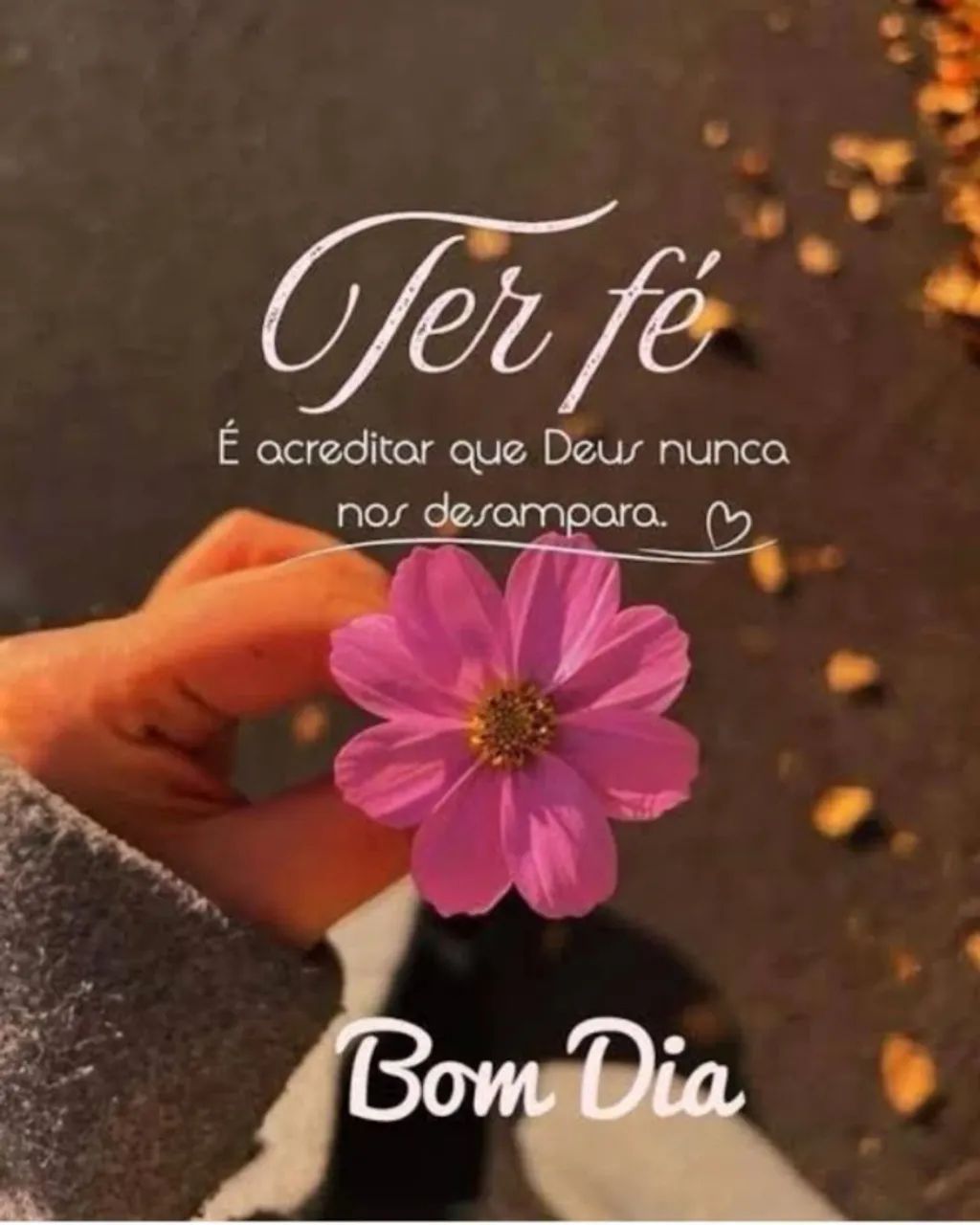 Casal de Caseiro sem filhos pequenos.