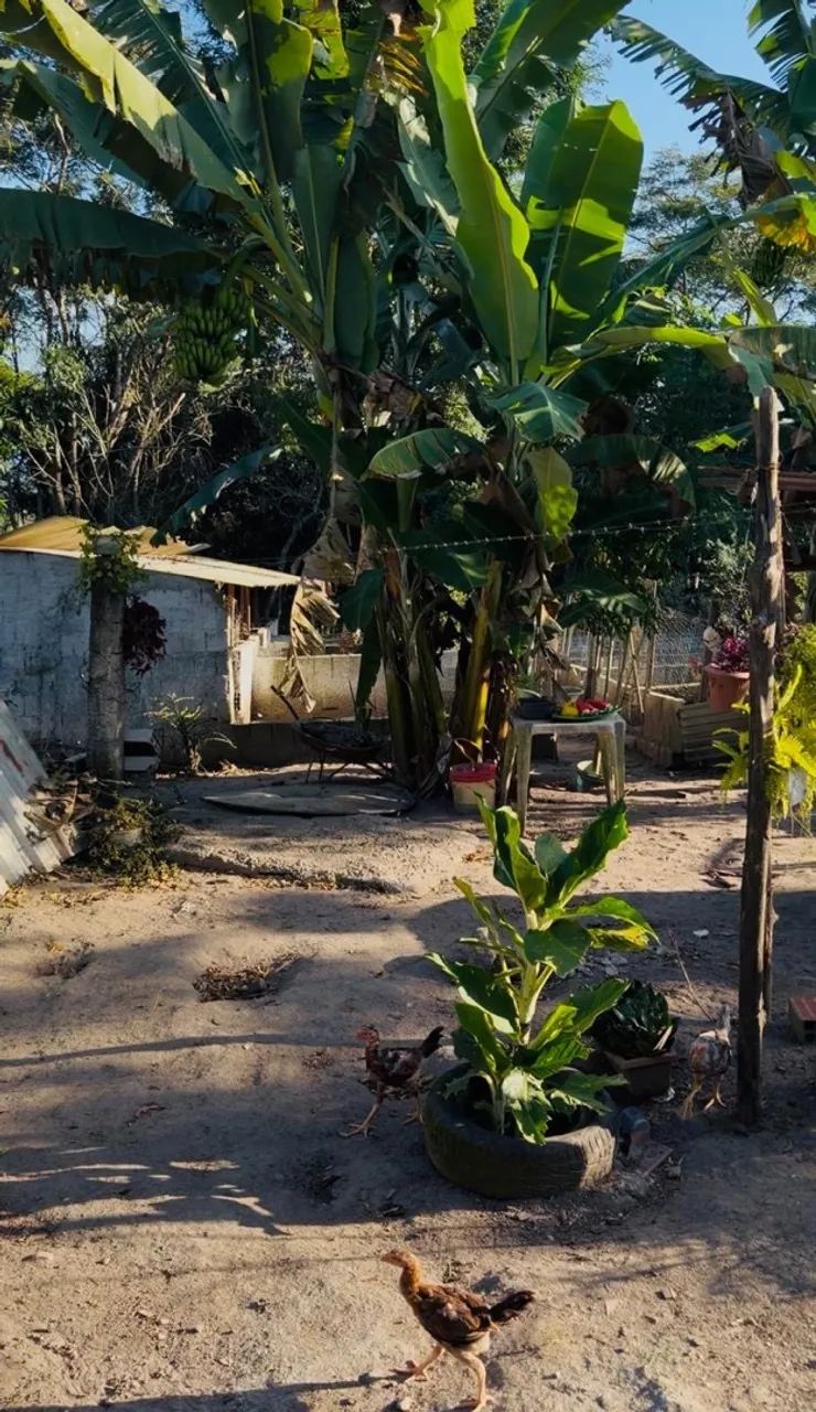 Lugar tranquilo  - Foto 4