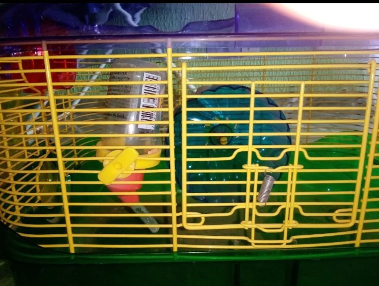 Gaiola Hamster 