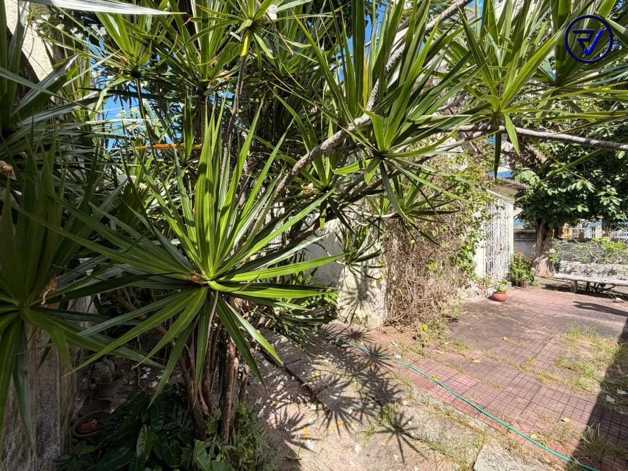 Oportunidade Única: Terreno de Esquina Comercial - Foto 5