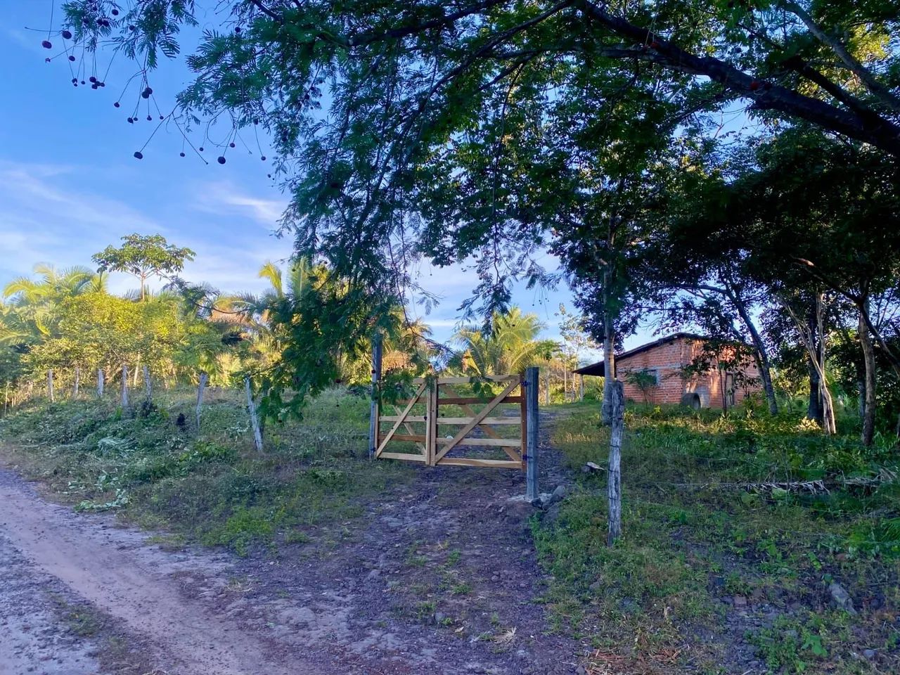 Fazenda 350 hectare a 3km da cidade  - Foto 4