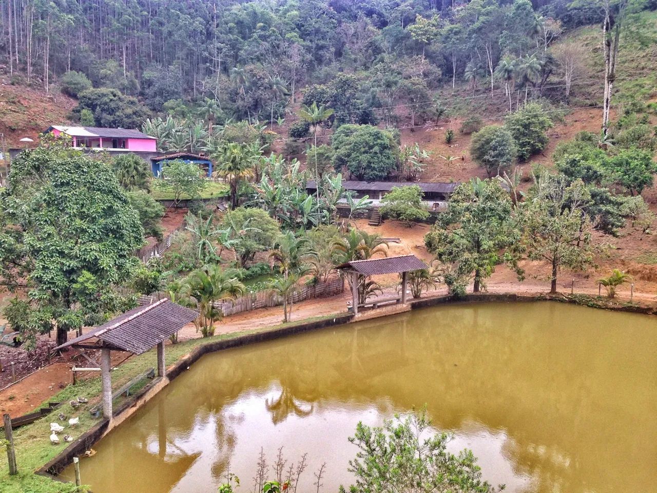 Vendo Sítio em Viana com 130mil m2 - Foto 2
