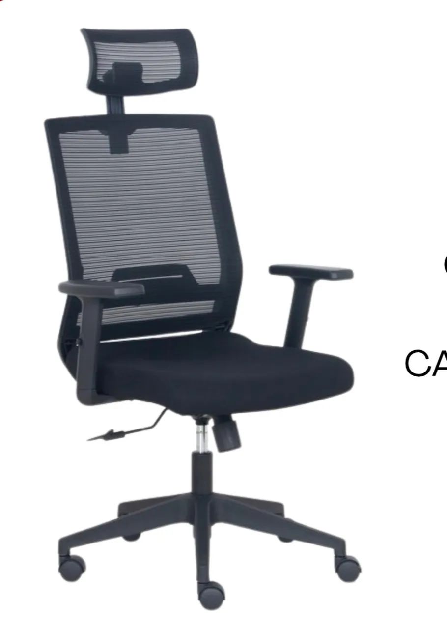 cadeira ergonômica todas regulagens 