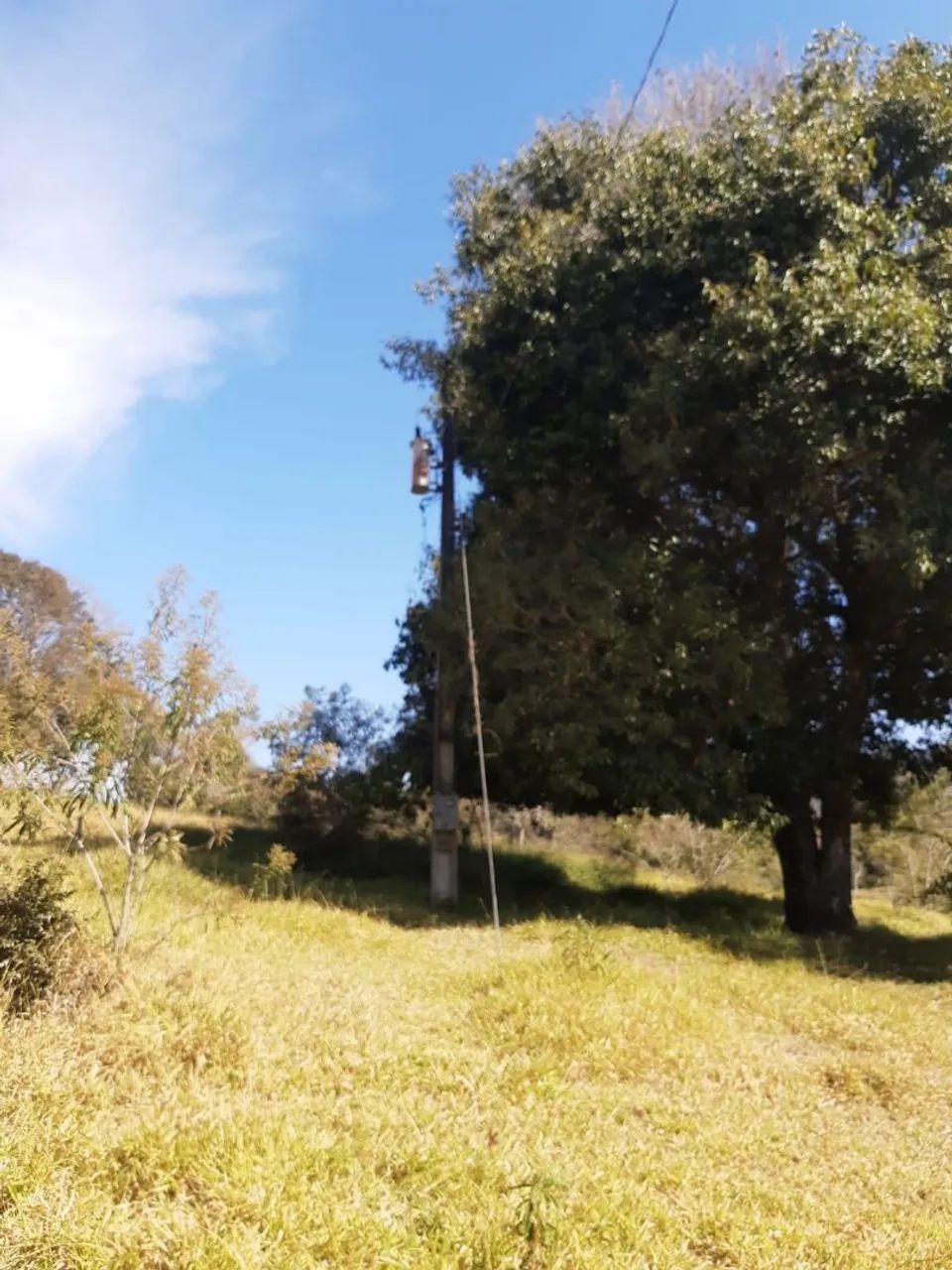 Chácara    165.000,00 - Foto 4
