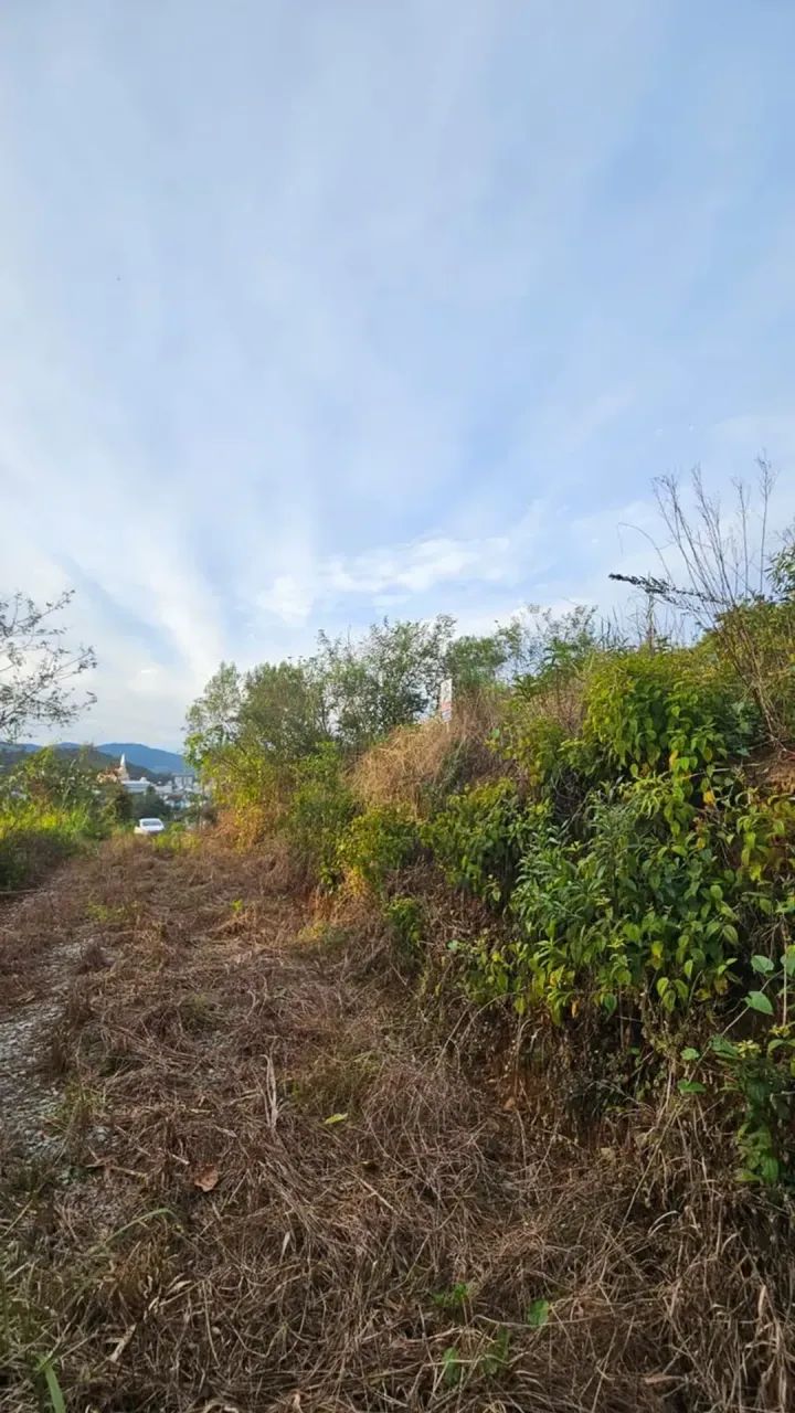 Lote em Santo Amaro da Imperatriz - SC - Foto 5