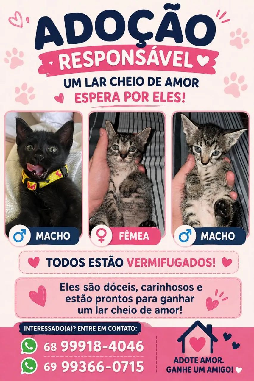 DOAÇÃO DE GATOS
