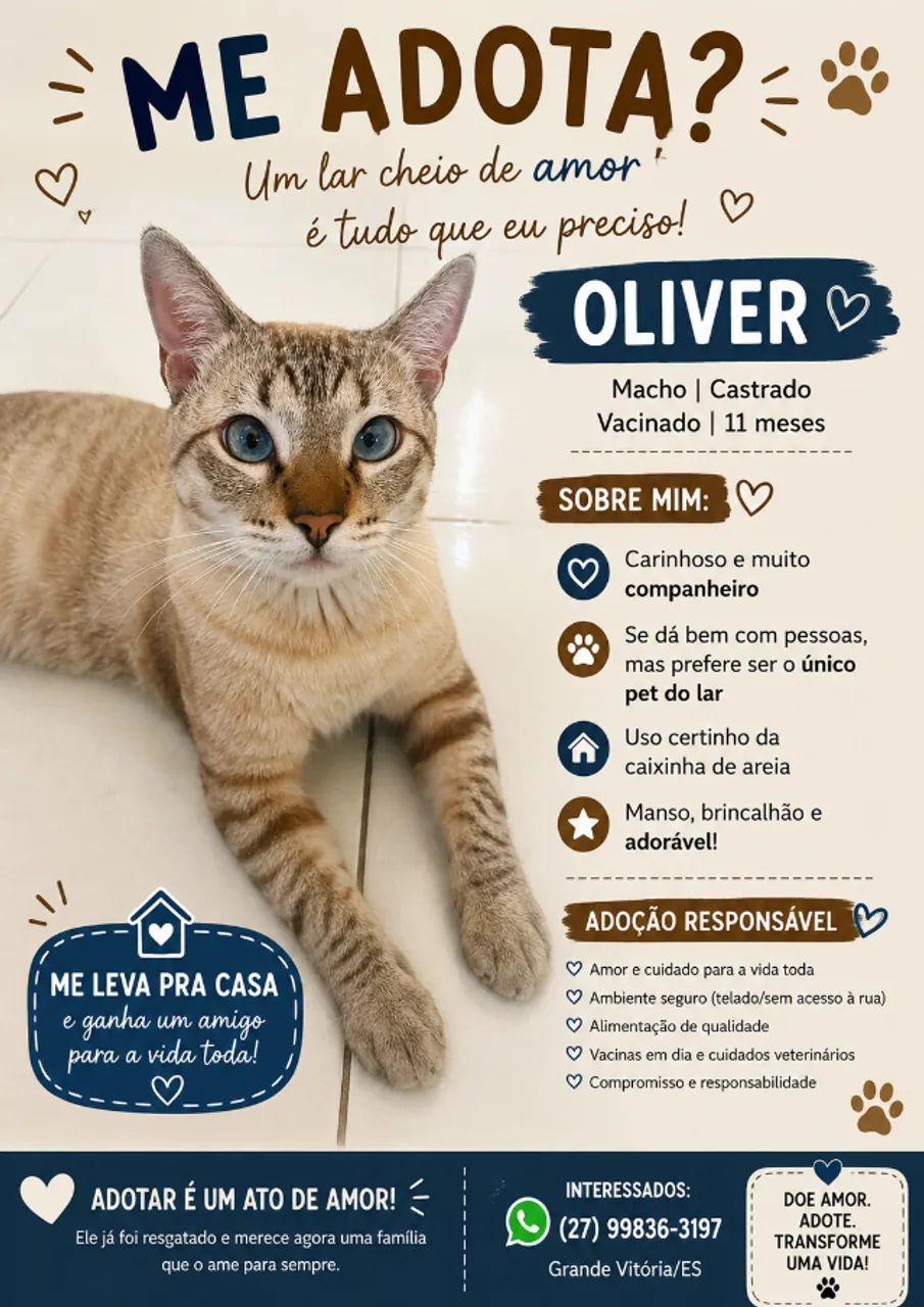 Gato