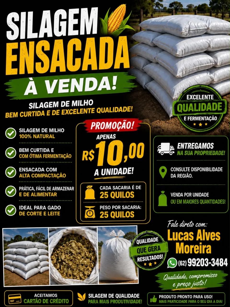 Silagem de milho ensacada e a granel  - Foto 4