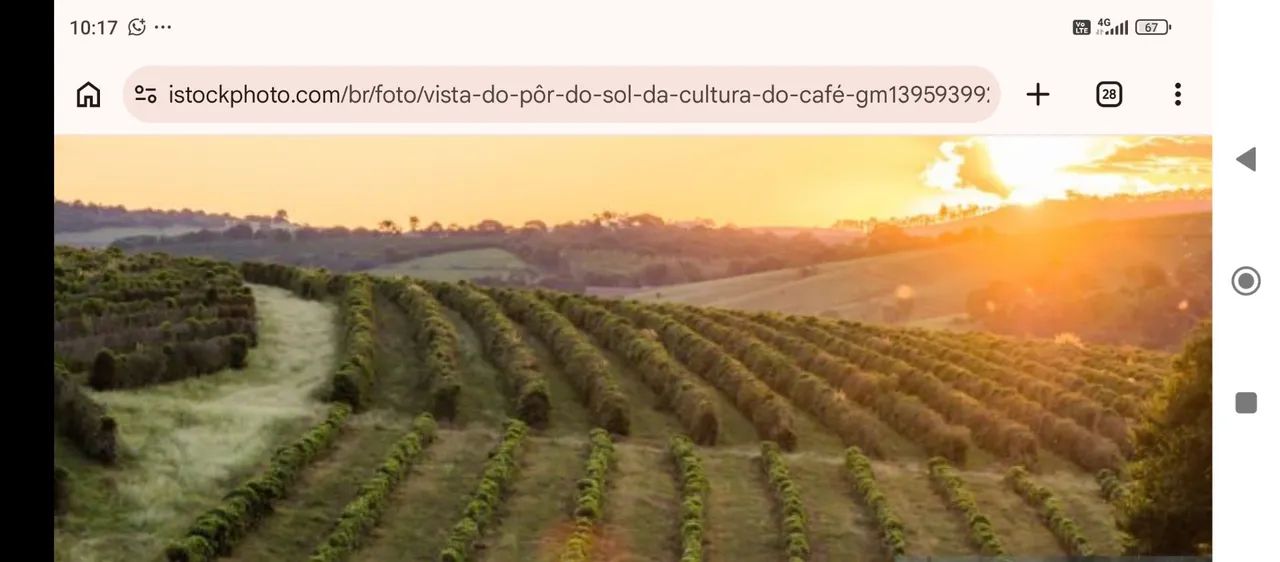 Fazenda potencial produção de café ....Minas Gerais !! - Foto 4