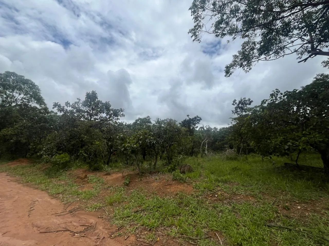 TERRENO EM ALEXÃNIA - Foto 2