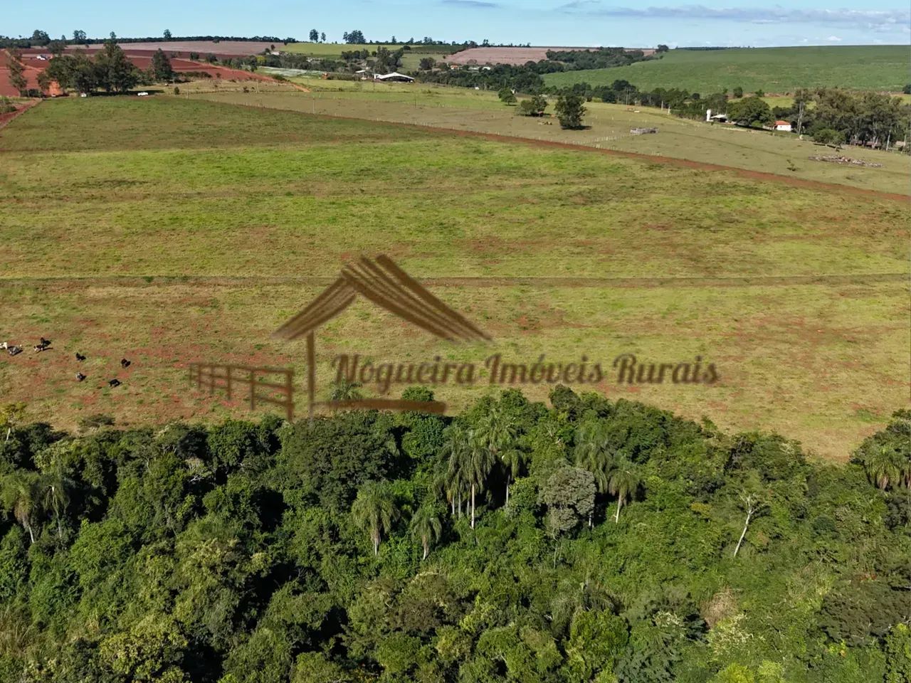 Sitio a venda com 5 alqueires em Manduri-SP - Foto 4