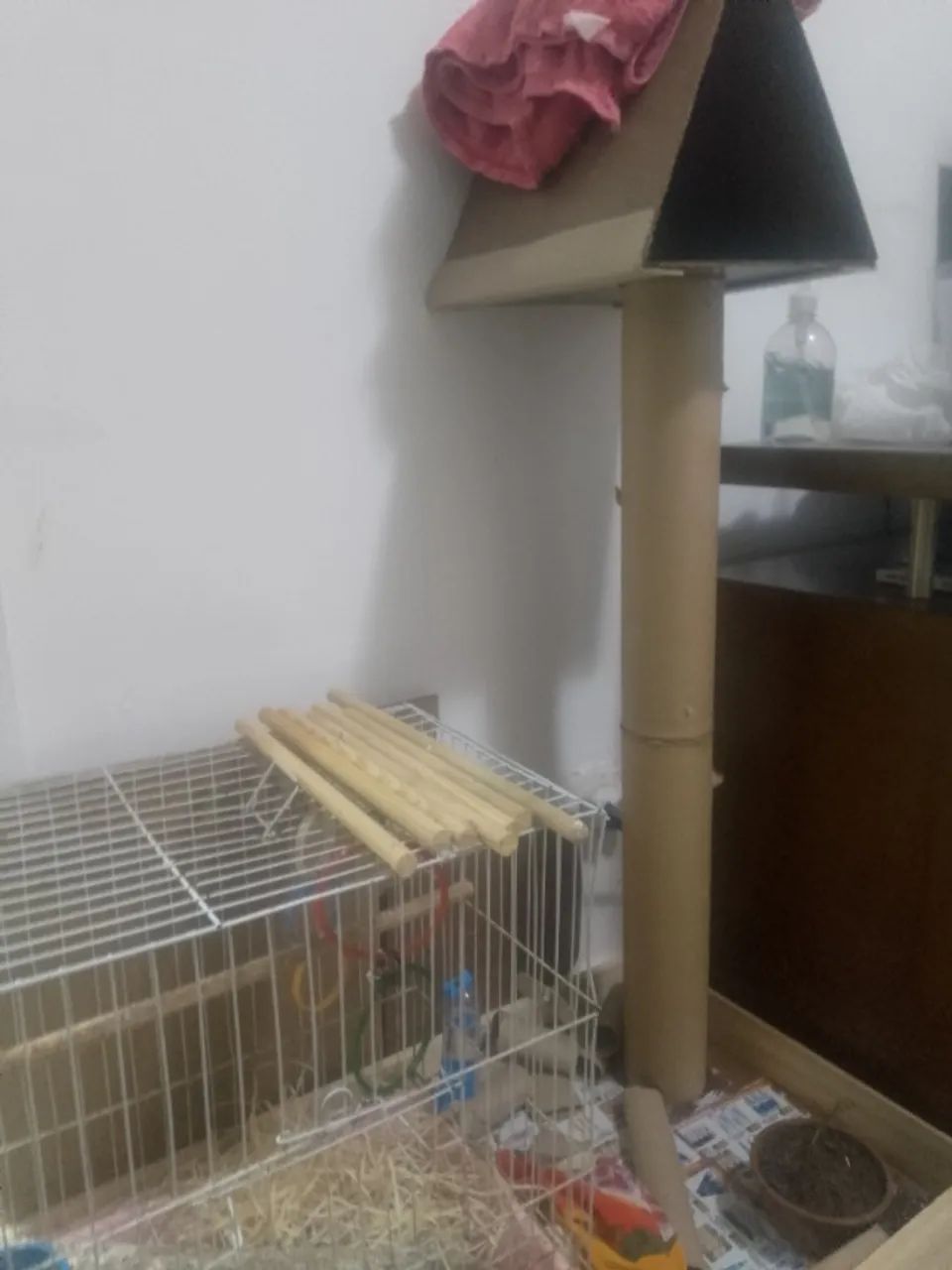 Itens Para Calopisita  - Foto 2