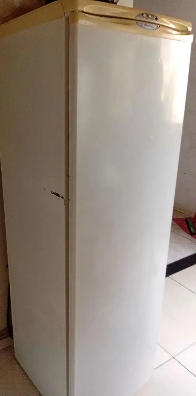 Freezer 250 lt  com sete divisões. - Foto 4